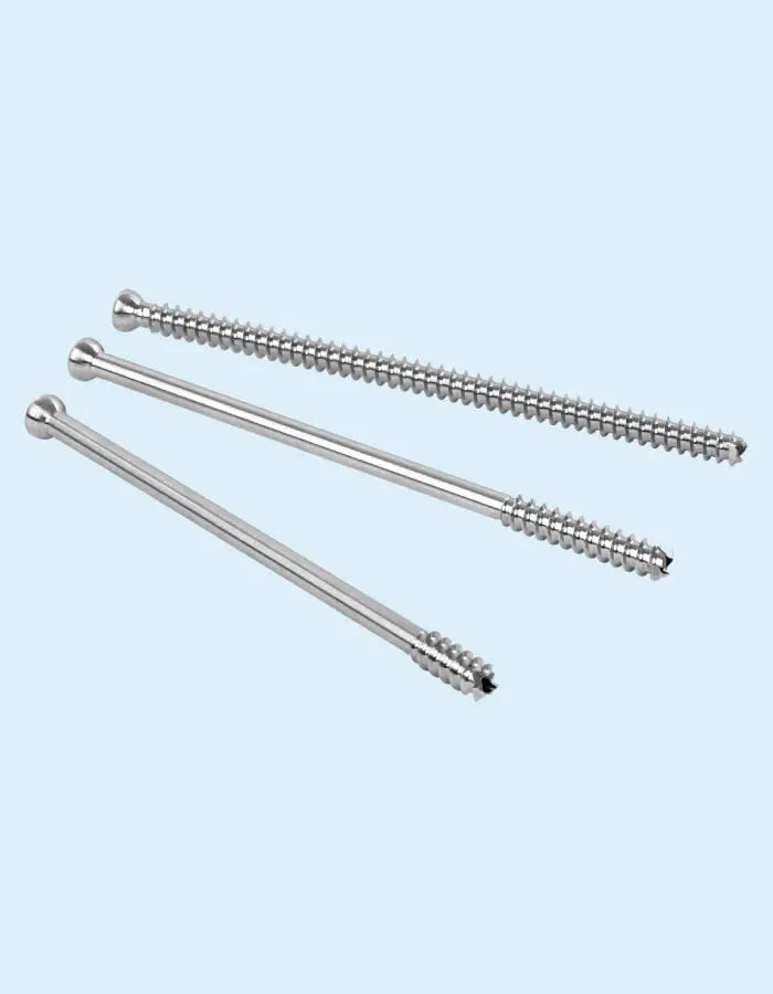 Bone Screws